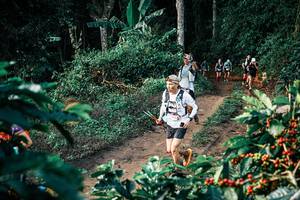 BIB: 
                            <button type="button" onclick="openModal(25814424)" class="btn btn-primary btn-sm float-right btn-popup" data-toggle="modal" data-target=".modal-high-quality">
                        <i class="fas fa-shopping-cart"></i> Add to Cart
                    </button>
                                            <button type="button" onclick="isThisMe(25814424, true)" class="btn btn-success btn-sm float-right btn-popup btn-isme hidden" data-toggle="tooltip" data-placement="bottom" title="นี่คือรูปของคุณใช่ไหม คลิกที่นี่เพื่อเอาเข้าอัลบั้ม">
                        <i class="fas fa-plus"></i> Add to album
                    </button>
                    <button type="button" onclick="isThisMe(25814424, false)" class="btn btn-warning btn-sm float-right btn-popup btn-isnotme hidden">
                        <i class="fas fa-ban"></i> Remove from album
                    </button>